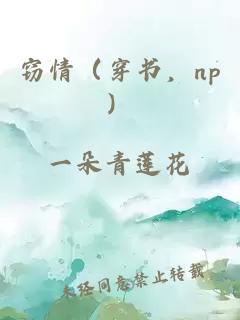 窃情（穿书，np）