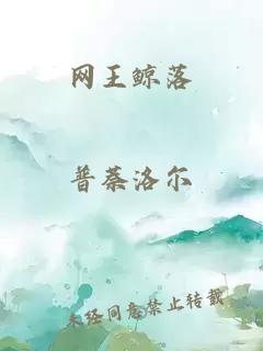 网王鲸落