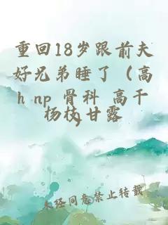 重回18岁跟前夫好兄弟睡了（高h np 骨科 高干）