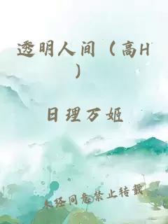 透明人间（高H）