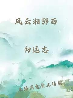 风云湘鄂西