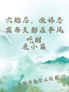 六胎后，傲娇总裁每天都在争风吃醋