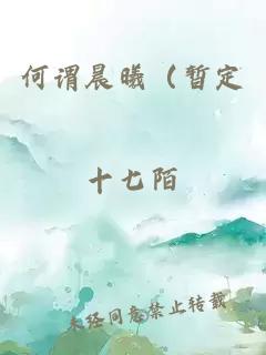 何谓晨曦（暂定