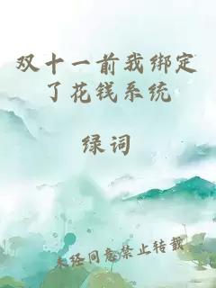 双十一前我绑定了花钱系统