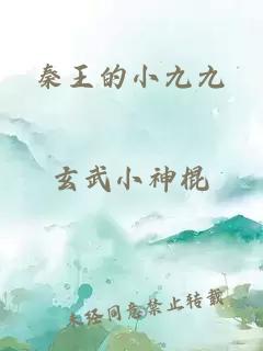 秦王的小九九