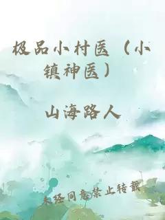 极品小村医（小镇神医）