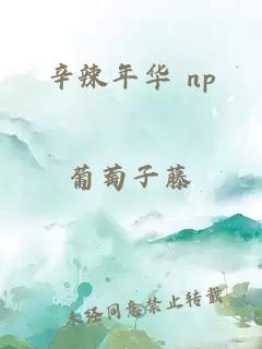 辛辣年华 np