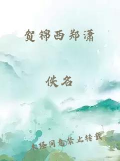 贺锦西郑潇