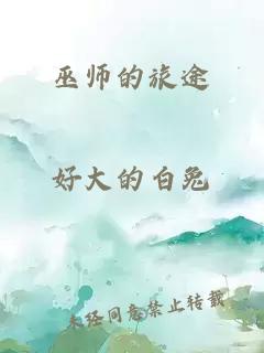 巫师的旅途