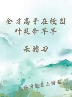 全才高手在校园叶昊李芊芊