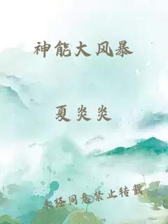 神能大风暴