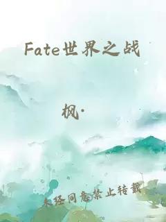 Fate世界之战