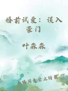 婚前试爱：误入豪门